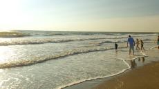 Sandbridge Beach