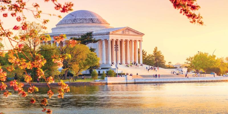 cherry blossom, festival, spring, events, Washington DC