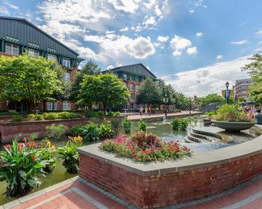 Scenic view of the park in spring