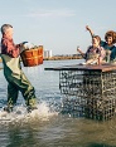 Oyster harvester in Virginia